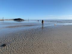 Sea defences at Middleton-on-Sea